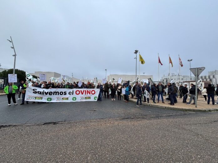 salvemos al ovino entrepinares